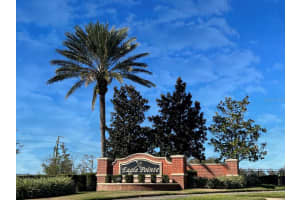 163 PRAIRIE FALCON DRIVE, GROVELAND, FL 34736 Sold 01/15/25
