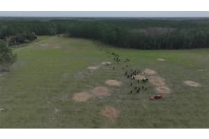 BERRY GROVES RD DR, CLERMONT, FL 34714 - MLS#MFRL4949248