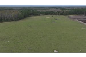 BERRY GROVES RD DR, CLERMONT, FL 34714 - MLS#MFRL4949248