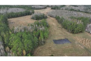 BERRY GROVES RD DR, CLERMONT, FL 34714 - MLS#MFRL4949248