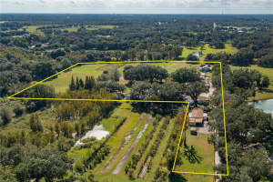 4911 SAM ALLEN ROAD, PLANT CITY, FL 33565 - MLS#MFRL4949323