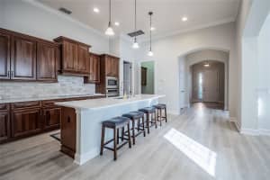 819 CHRISTINA CHASE DRIVE, LAKELAND, FL 33813 Sold 01/17/25