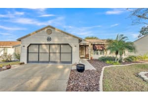 6069 KITTIWAKE DRIVE, LAKELAND, FL 33809 Sold 04/15/25