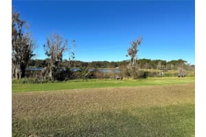 1113 RALLY DRIVE, POLK CITY, FL 33868 - MLS#MFRL4949746