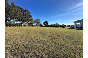 1113 RALLY DRIVE, POLK CITY, FL 33868 - MLS#MFRL4949746