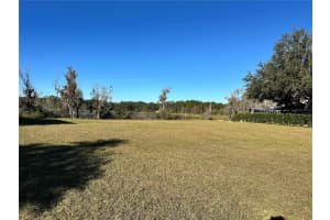 1113 RALLY DRIVE, POLK CITY, FL 33868 - MLS#MFRL4949746