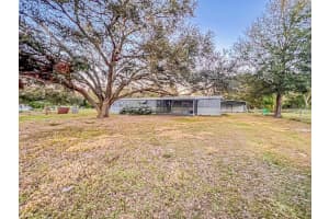 8224 HAMSTER DRIVE, ZEPHYRHILLS, FL 33540 Sold 03/10/25