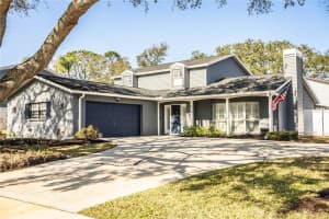 4101 DELLBROOK DRIVE, TAMPA, FL 33624 Sold 03/25/25