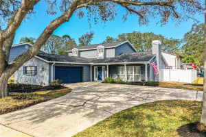 4101 DELLBROOK DRIVE, TAMPA, FL 33624 Sold 03/25/25