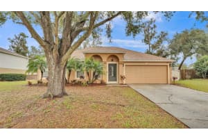 3445 SLEEPY HILL OAKS STREET, LAKELAND, FL 33810 Sold 04/07/25
