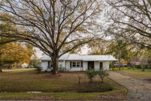 254 LYNNETTE PLACE, LAKELAND, FL 33809 Sold 03/27/25