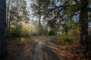 1820 TRAILSWOOD PATH, LAKELAND, FL 33809 Sold 05/12/25