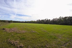 0000 ALLIGATOR ROAD, CLERMONT, FL 34714 - MLS#MFRL4951025