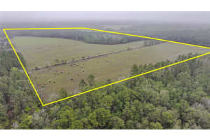 0000 ALLIGATOR ROAD, CLERMONT, FL 34714 - MLS#MFRL4951025