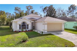 10816 BELMONT DRIVE, NEW PORT RICHEY, FL 34654 Sold 04/03/25