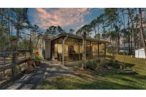 27231 SNAPPER CREEK LANE, WESLEY CHAPEL, FL 33544 Sold 04/23/25