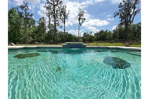 8922 PRITCHER ROAD, LITHIA, FL 33547 Sold 06/18/25