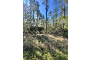 ALTHEA DR, INDIAN LAKE ESTATES, FL 33855 - MLS#MFRL4951799