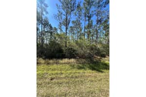 ALTHEA DR, INDIAN LAKE ESTATES, FL 33855 - MLS#MFRL4951800