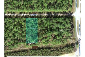 ALTHEA DR, INDIAN LAKE ESTATES, FL 33855 - MLS#MFRL4951800