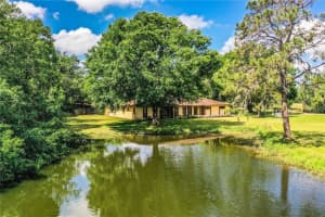 4101 N FORBES RD, PLANT CITY, FL 33565 Sold 07/24/25