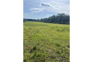 OLD GRADE RD, POLK CITY, FL 33868 Sold 07/01/25