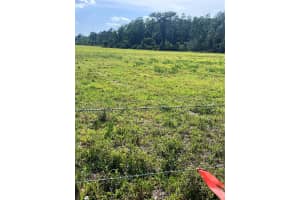 OLD GRADE RD, POLK CITY, FL 33868 Sold 07/01/25