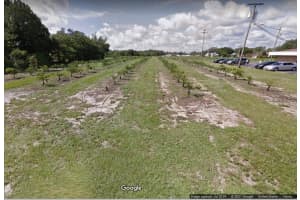 310 MEDICAL CENTER AVENUE, SEBRING, FL 33870 - MLS#MFRL4952319
