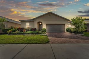 3134 MACINTOSH ROAD, LAND O LAKES, FL 34639 Sold 09/04/25