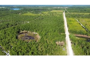 SAWGRASS FILL RD, EUSTIS, FL 32736 Sold 06/23/25