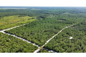 SAWGRASS FILL RD, EUSTIS, FL 32736 Sold 06/23/25
