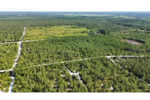 SAWGRASS FILL RD, EUSTIS, FL 32736 Sold 06/23/25