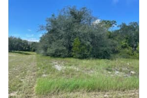 KISSIMMEE WAY, KISSIMMEE, FL 34759 - MLS#MFRL4952346