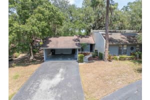 319 Shadow Moss Ct #319, LAKELAND
