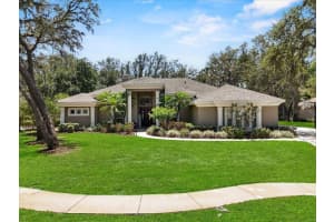 6007 Hammock Hill Ave, LITHIA
