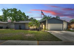 619 SHADY NOOK DRIVE, BRANDON, FL 33511 Sold 06/10/25