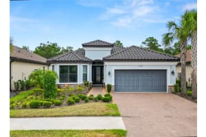 20159 Umbria Hill Dr, TAMPA