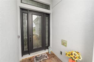 20159 UMBRIA HILL DRIVE, TAMPA, FL 33647 - MLS#MFRL4952633