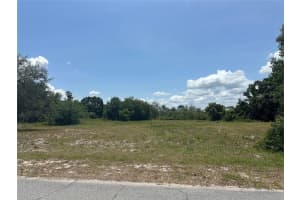 JACKSON ST, LAKE WALES, FL 33859 - MLS#MFRL4952693