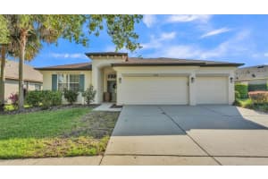 15706 Starling Water Dr, LITHIA