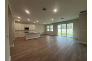 12132 CATTLESIDE DRIVE, RIVERVIEW, FL 33579 - MLS#MFRL4952778