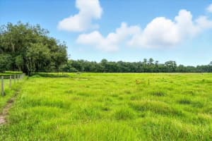 39410 SPARKMAN ROAD, DADE CITY, FL 33525 - MLS#MFRL4952813