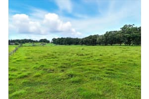 39410 SPARKMAN ROAD, DADE CITY, FL 33525 - MLS#MFRL4952813