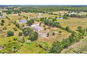 14510 BRAHMA ROAD, POLK CITY, FL 33868 Sold 09/26/25