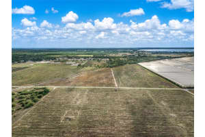 4199 DESOTO CITY ROAD, SEBRING, FL 33870 - MLS#MFRL4952955