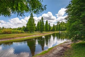 10642 LAKE MONTAUK DRIVE, RIVERVIEW, FL 33578 - MLS#MFRL4952983