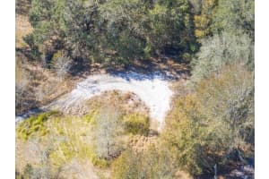 502 WILDLIFE TRAIL, LAKELAND, FL 33809 - MLS#MFRL4953011