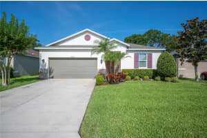 4303 Moon Shadow Loop, MULBERRY 4303 Moon Shadow Loop, MULBERRY