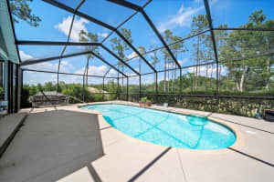 9912 PINE LEAF LANE, DADE CITY, FL 33525 - MLS#MFRL4953053