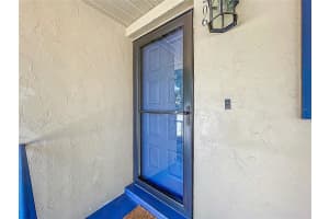 110 TREMAIN STREET, MOUNT DORA, FL 32757 Sold 07/03/25